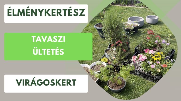 Tavaszi kertindítás lépésről lépésre – Mit csinálj először márciusban?