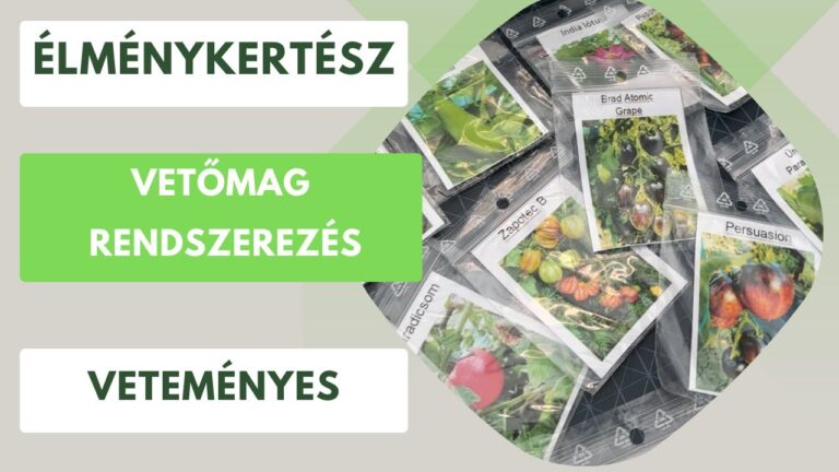 Tavaszi magvetés és palántanevelés – Mikor mit vess el a kertben?