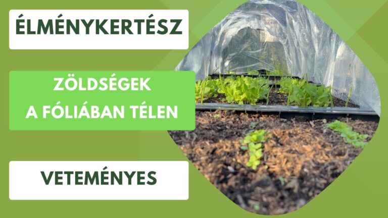 Téli kertészkedés – Mit csinálhatsz a kertben januárban és februárban?