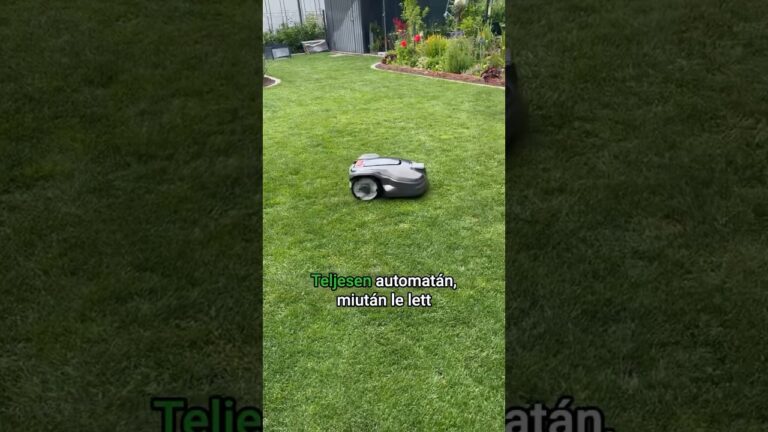 Robotfűnyíró a kertben
