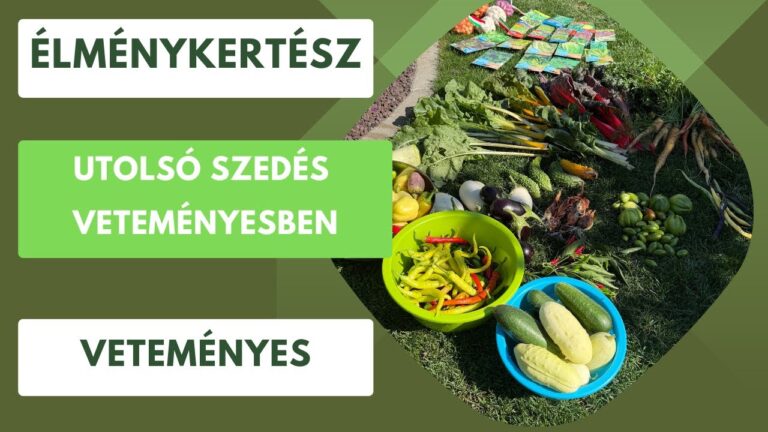 Őszi kertlezárás – Mit kell mindenképp elvégezni október előtt?