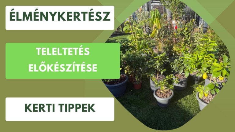 Fagyérzékeny növények teleltetése – Citrom, dália, fuchsia biztonságba helyezése