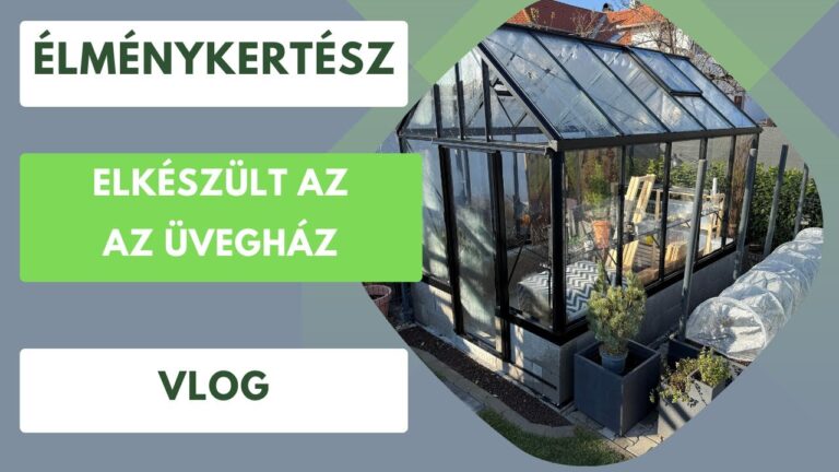 Elkészült az üvegház a kertben – Régi álom vált valóra!