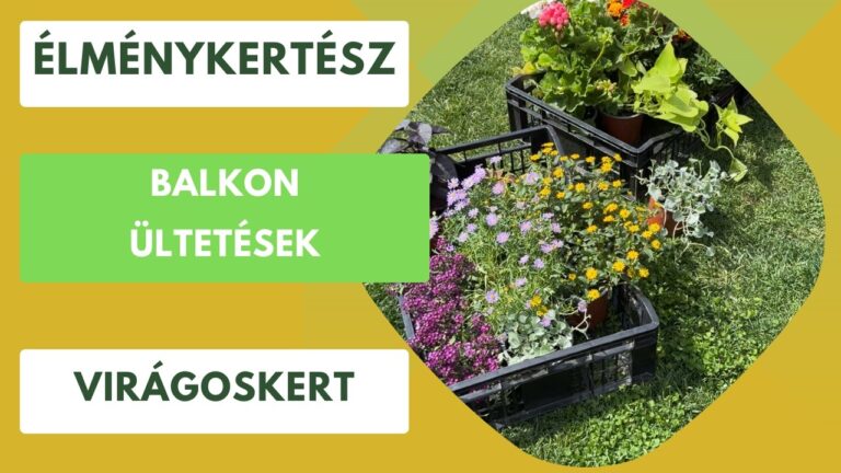 Balkon és terasz nyáron – Színes virágok, gyümölcsök és fűszernövények kis helyen is