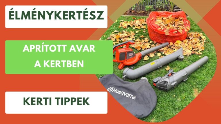 Őszi komposztálás és talajkészítés – Falevelek és maradványok okos hasznosítása