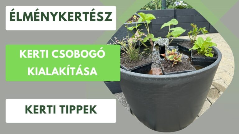 Csobogó a kertben 2.0 – Vízinövényekkel még szebb és hasznosabb