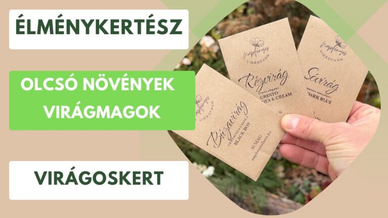 Tulipán, nárcisz és hagymás virágok tavaszi gondozása – Így lesznek évről évre gyönyörűek