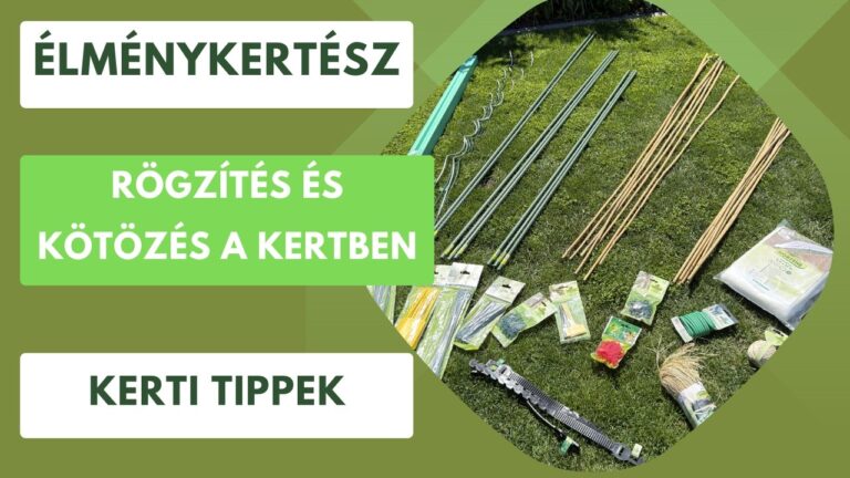 Nyári szüret és betakarítás – Mikor és hogyan szedd le a zöldségeket?