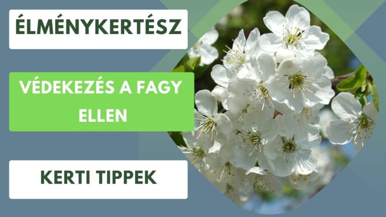 Téli metszési naptár – Mikor nyúlj a gyümölcsfákhoz és cserjékhez?
